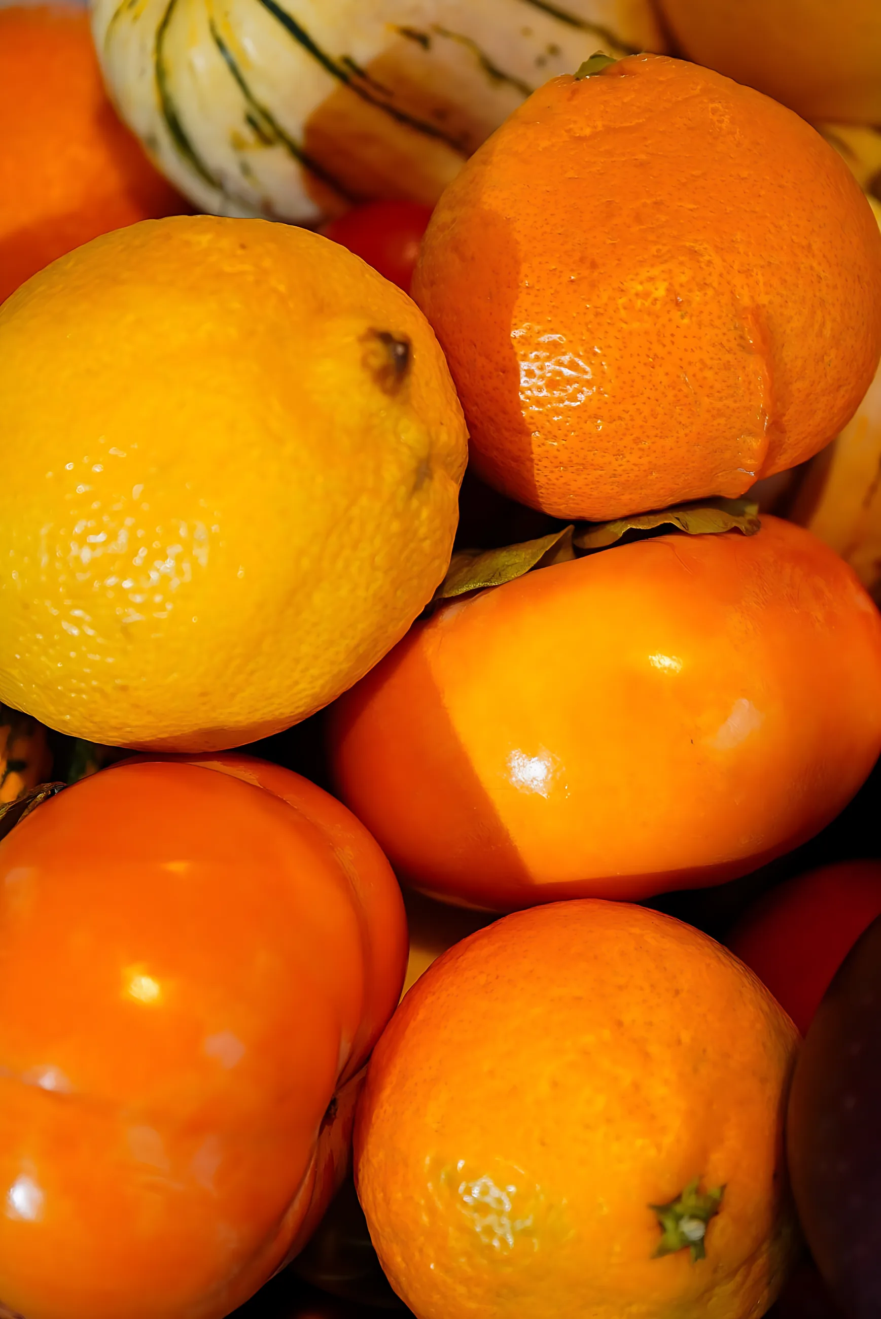 Oranges, lemons and persimmons piled together in late light