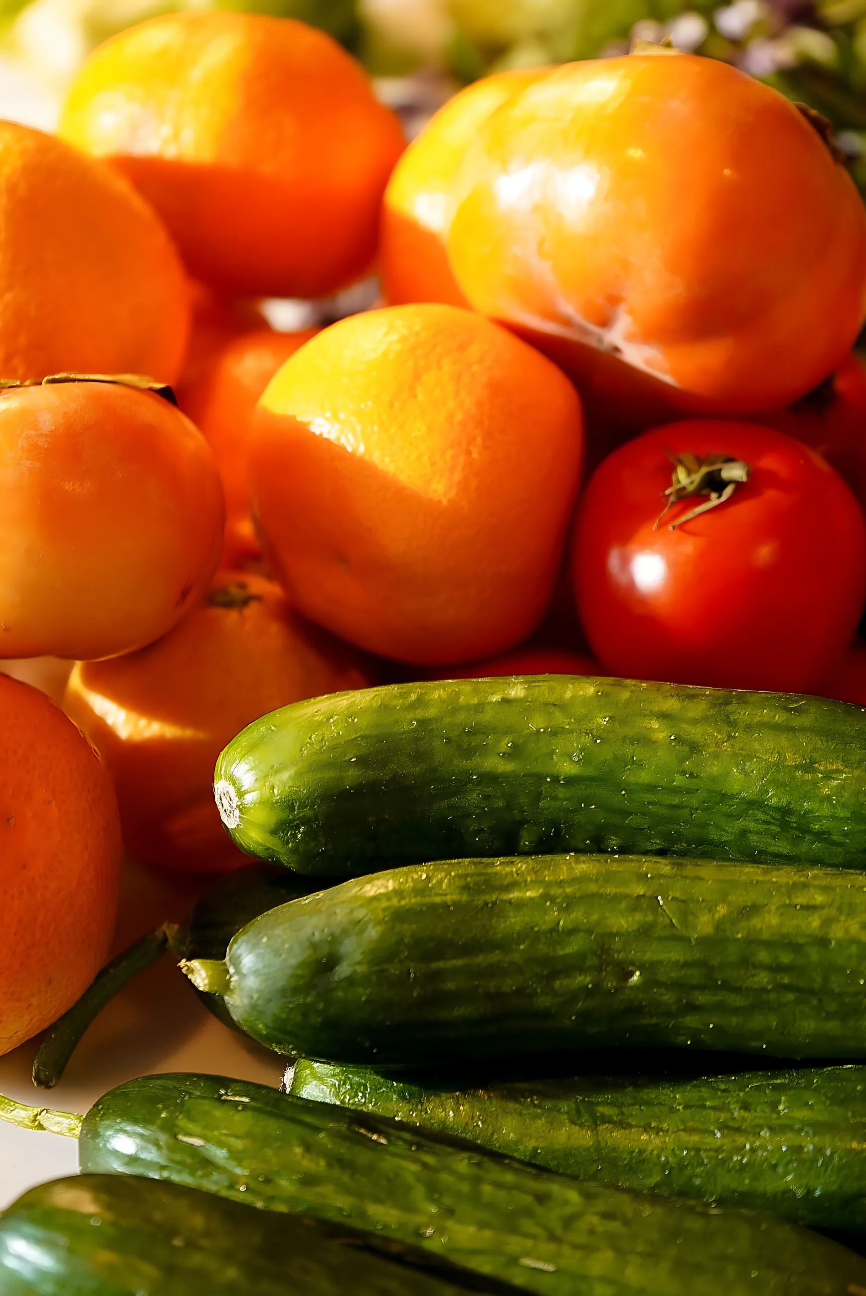 Oranges, tomatoes and cucumbers in afternoon light